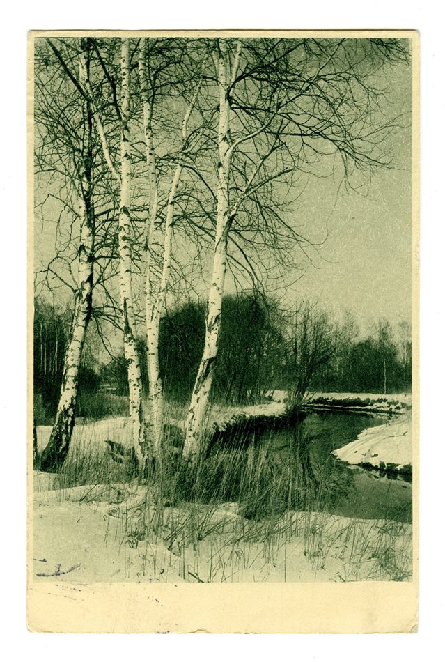 No-MM_K3079-02.jpg No-MM_K3079-02.jpg