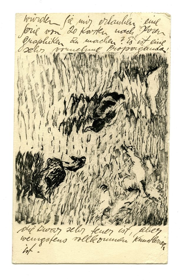 No-MM_K3593-02.jpg No-MM_K3593-02.jpg