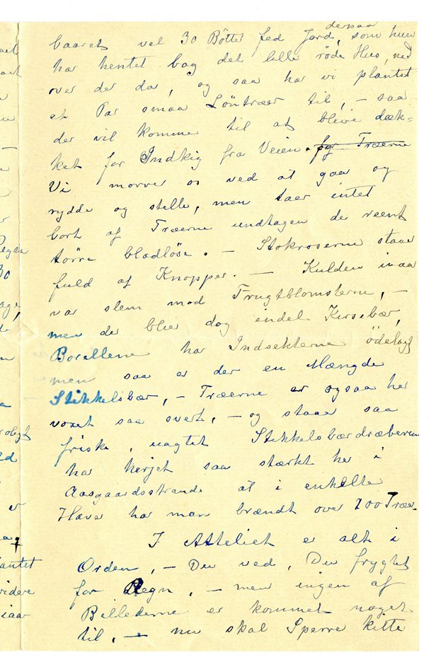 No-MM_K4444-03.jpg No-MM_K4444-03.jpg