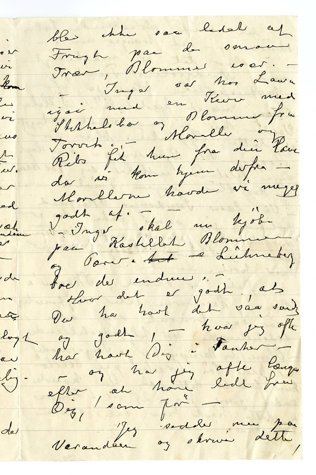 No-MM_K5112-03.jpg No-MM_K5112-03.jpg