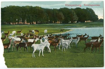 No-MM_K0157-02.jpg No-MM_K0157-02.jpg