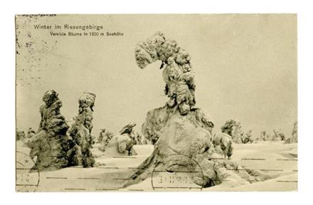 No-MM_K2294-02.jpg No-MM_K2294-02.jpg