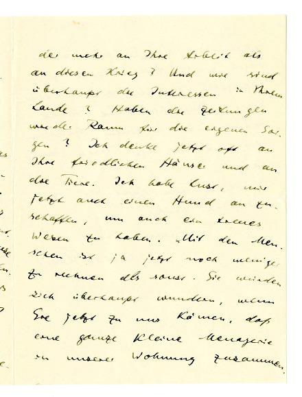 No-MM_K2295-03.jpg No-MM_K2295-03.jpg