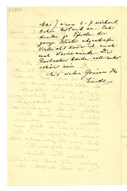 No-MM_K2826-04.jpg No-MM_K2826-04.jpg