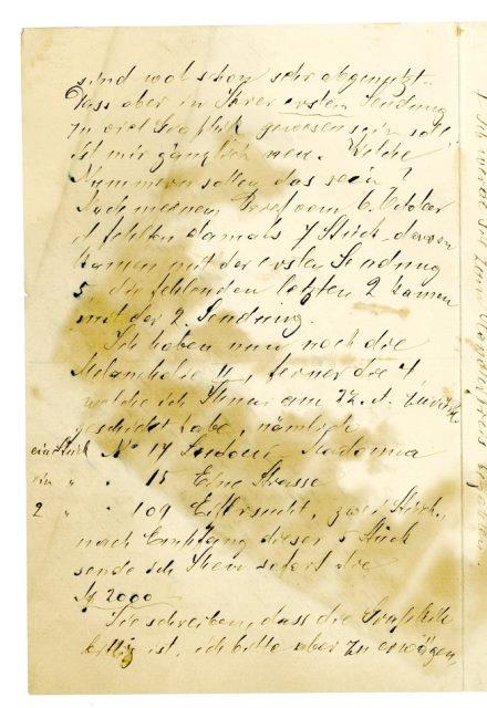 No-MM_K3357-02.jpg No-MM_K3357-02.jpg