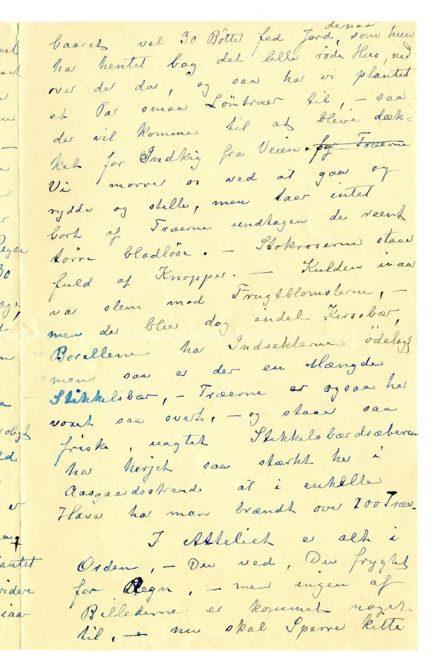 No-MM_K4444-03.jpg No-MM_K4444-03.jpg