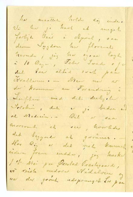 No-MM_K4484-02.jpg No-MM_K4484-02.jpg