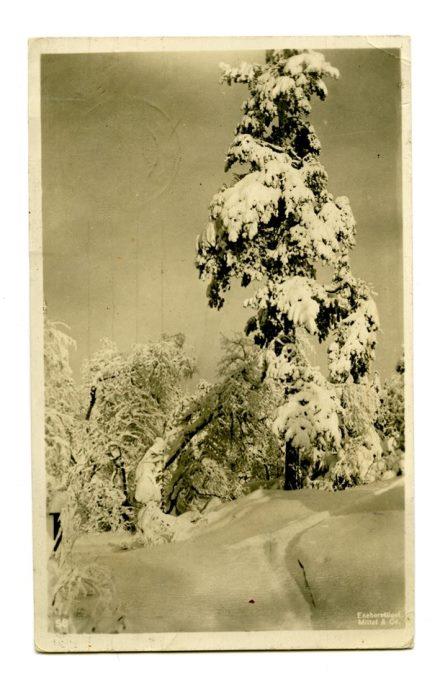 No-MM_K4558-02.jpg No-MM_K4558-02.jpg