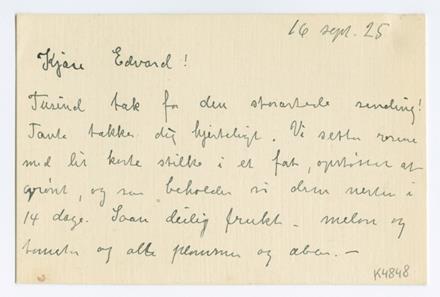 No-MM_K4848-01.jpg No-MM_K4848-01.jpg