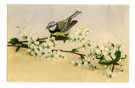 No-MM_K5022-02.jpg No-MM_K5022-02.jpg