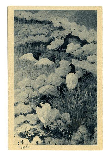 No-MM_K5033-02.jpg No-MM_K5033-02.jpg