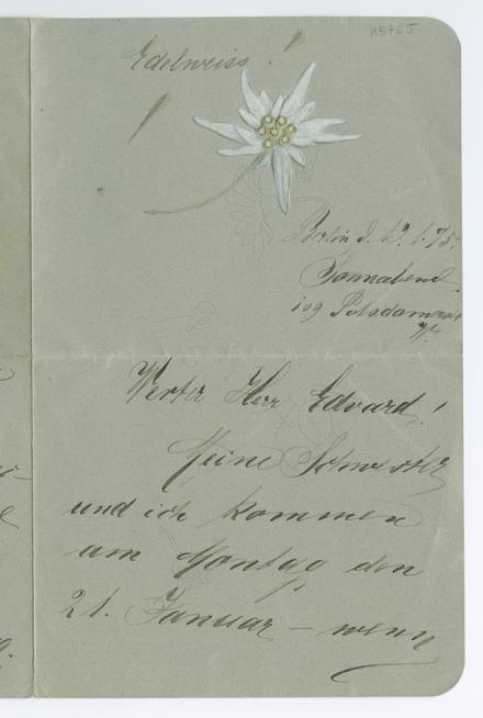 No-MM_K5765-01.jpg No-MM_K5765-01.jpg