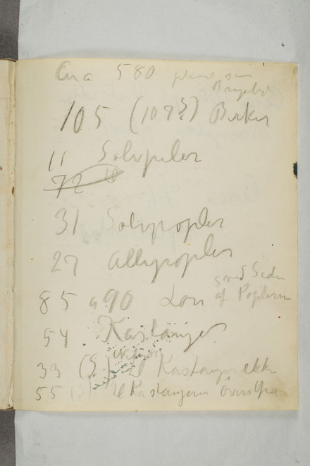 No-MM_T0195-170.jpg